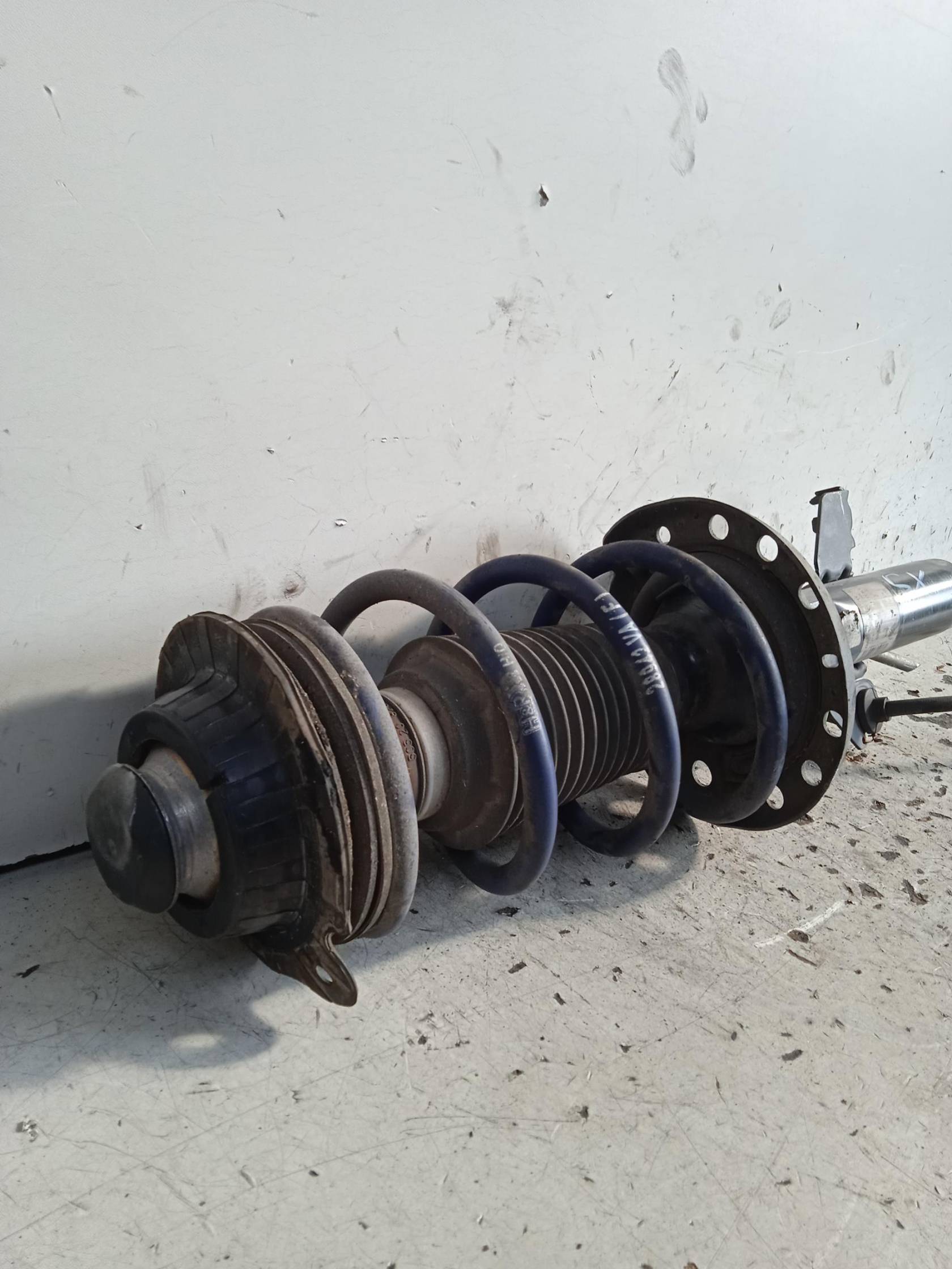 Ammortizzatore ant. sx.